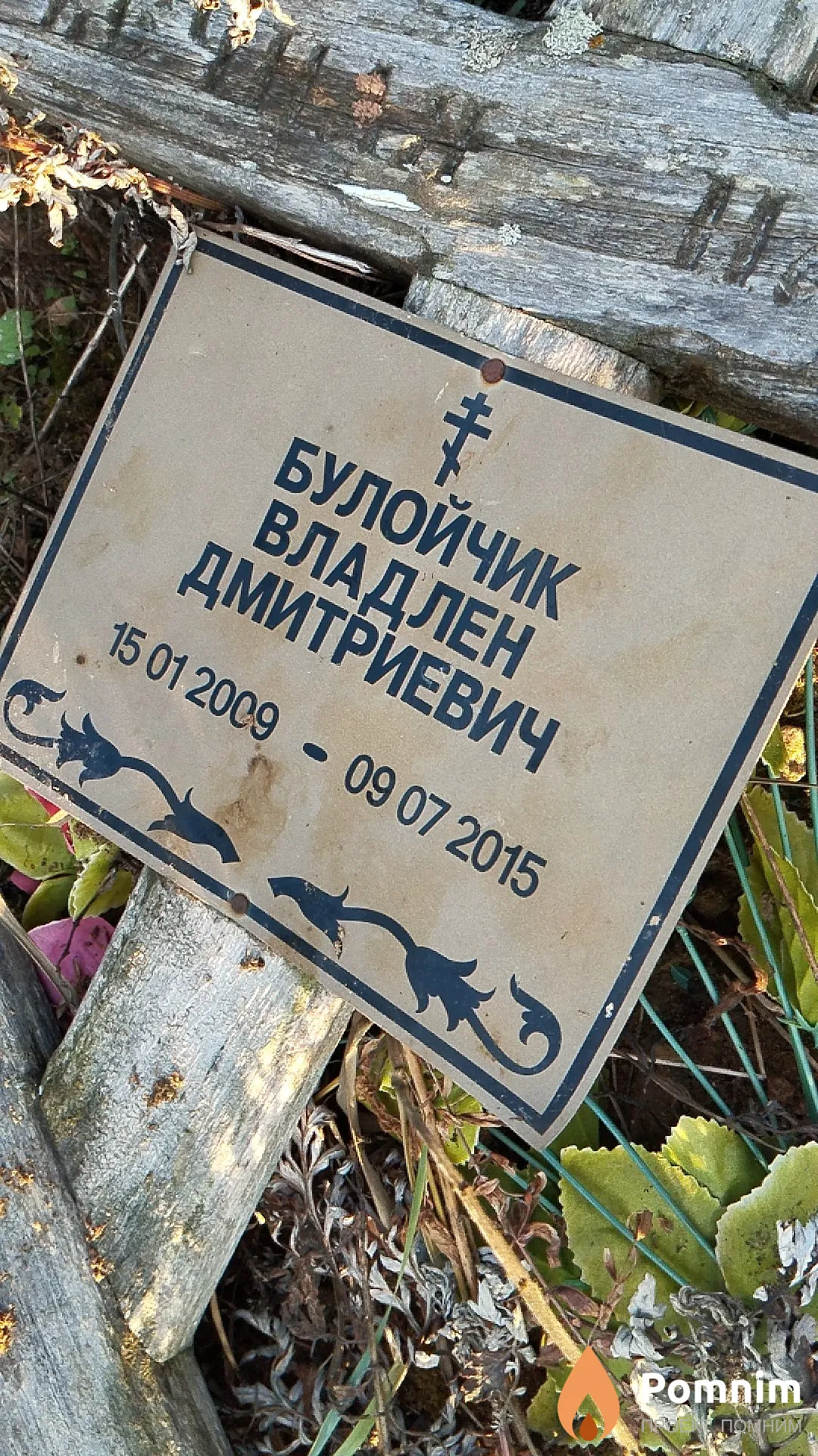 Булойчик Владлен Дмитриевич
