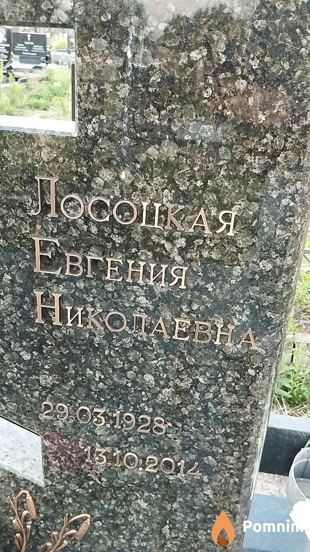 Лосоцкая Евгения Николаевна