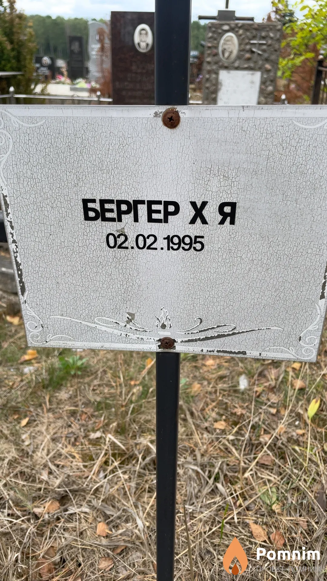 Бергер Х Я