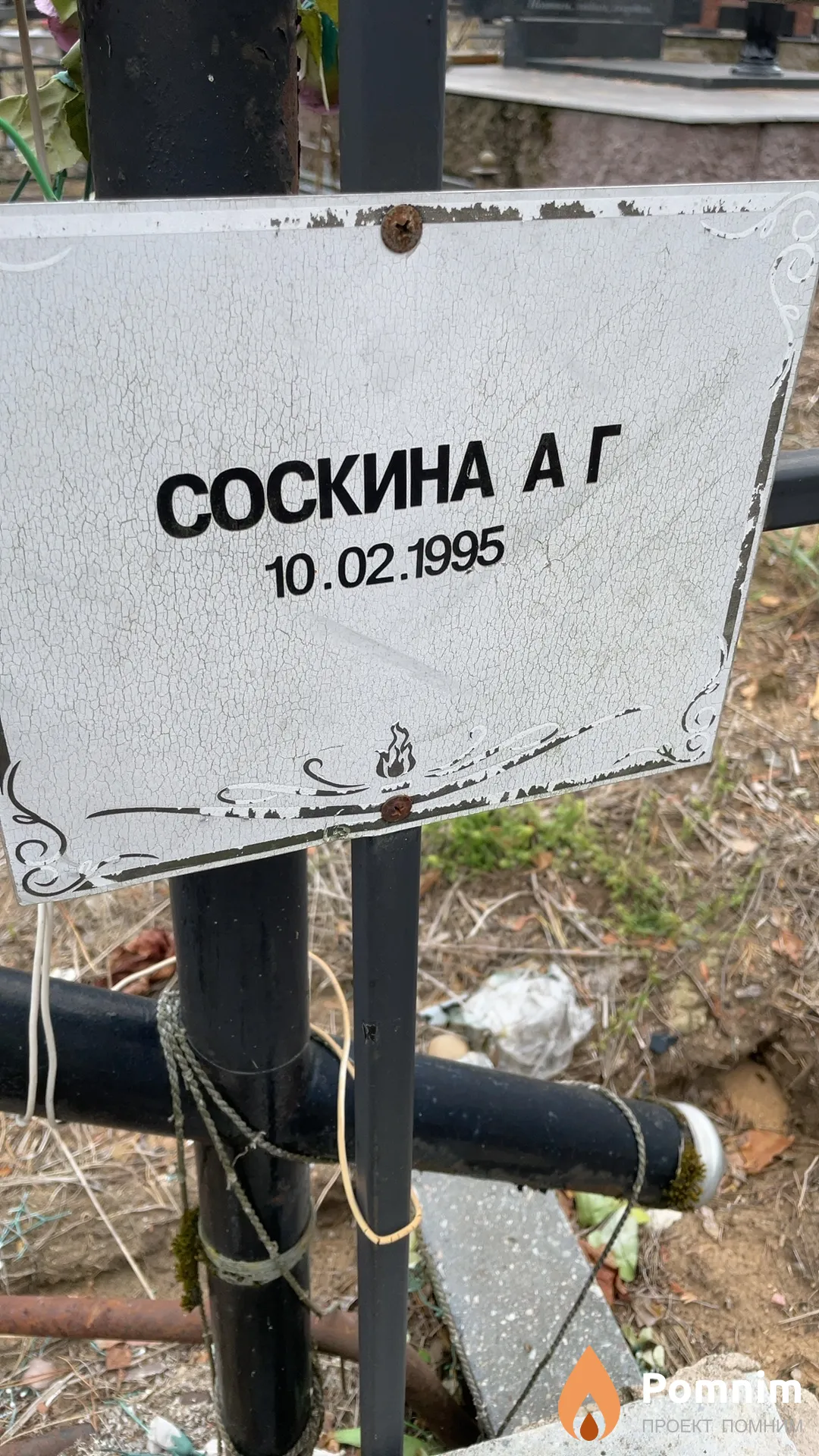 Соскина А Г