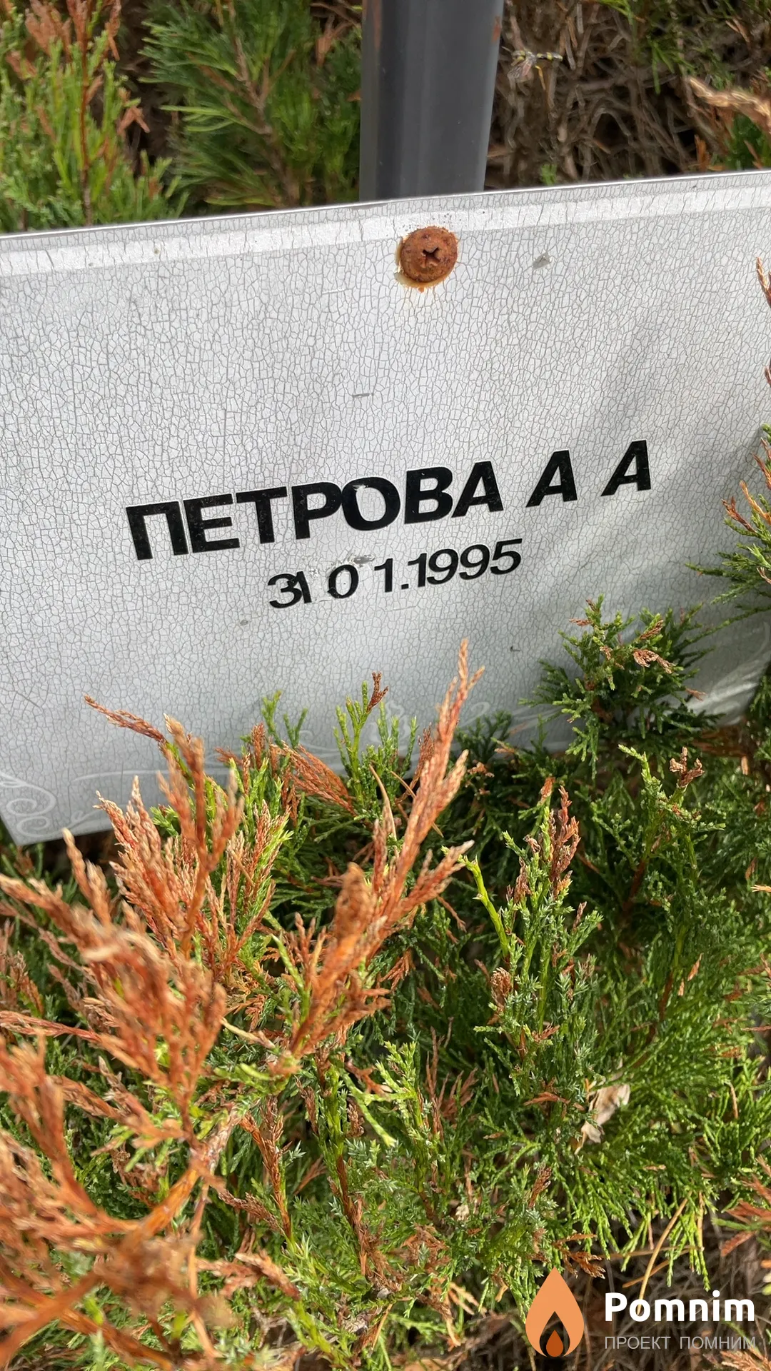 Петрова А А