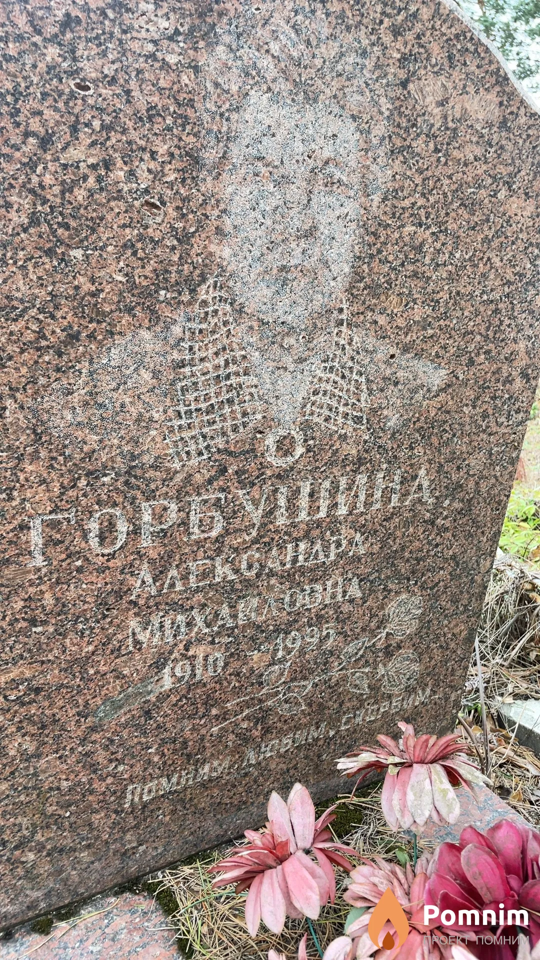 Горбушина Александра Михайловна