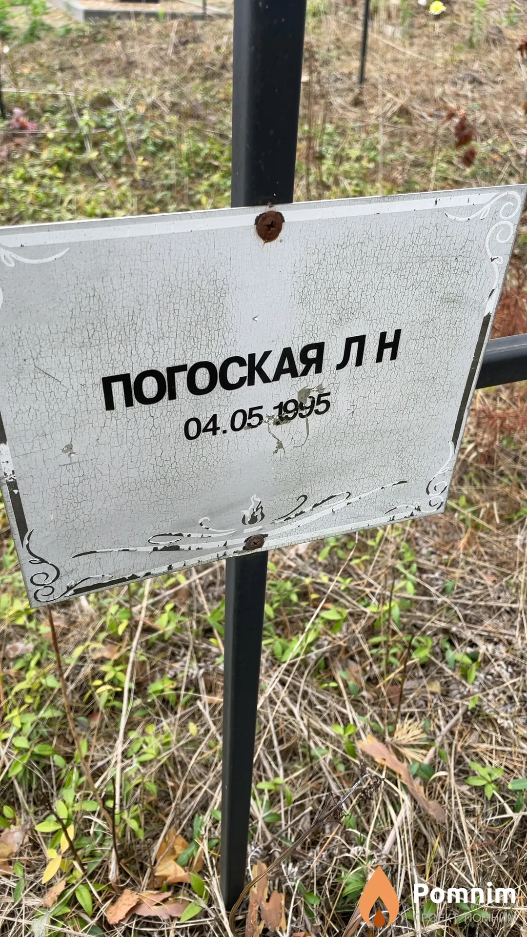 Погоская Л Н