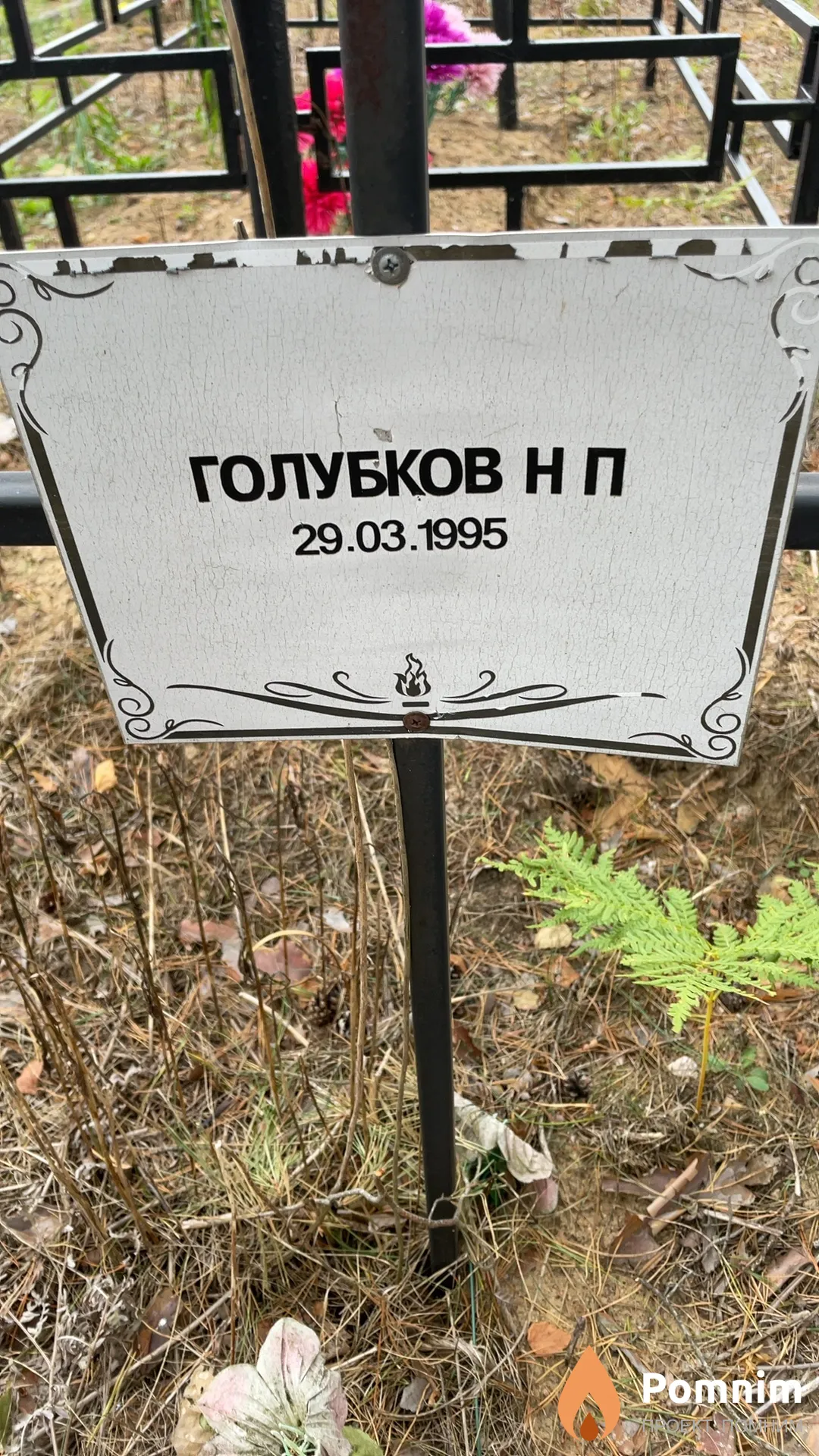 Голубков Н П