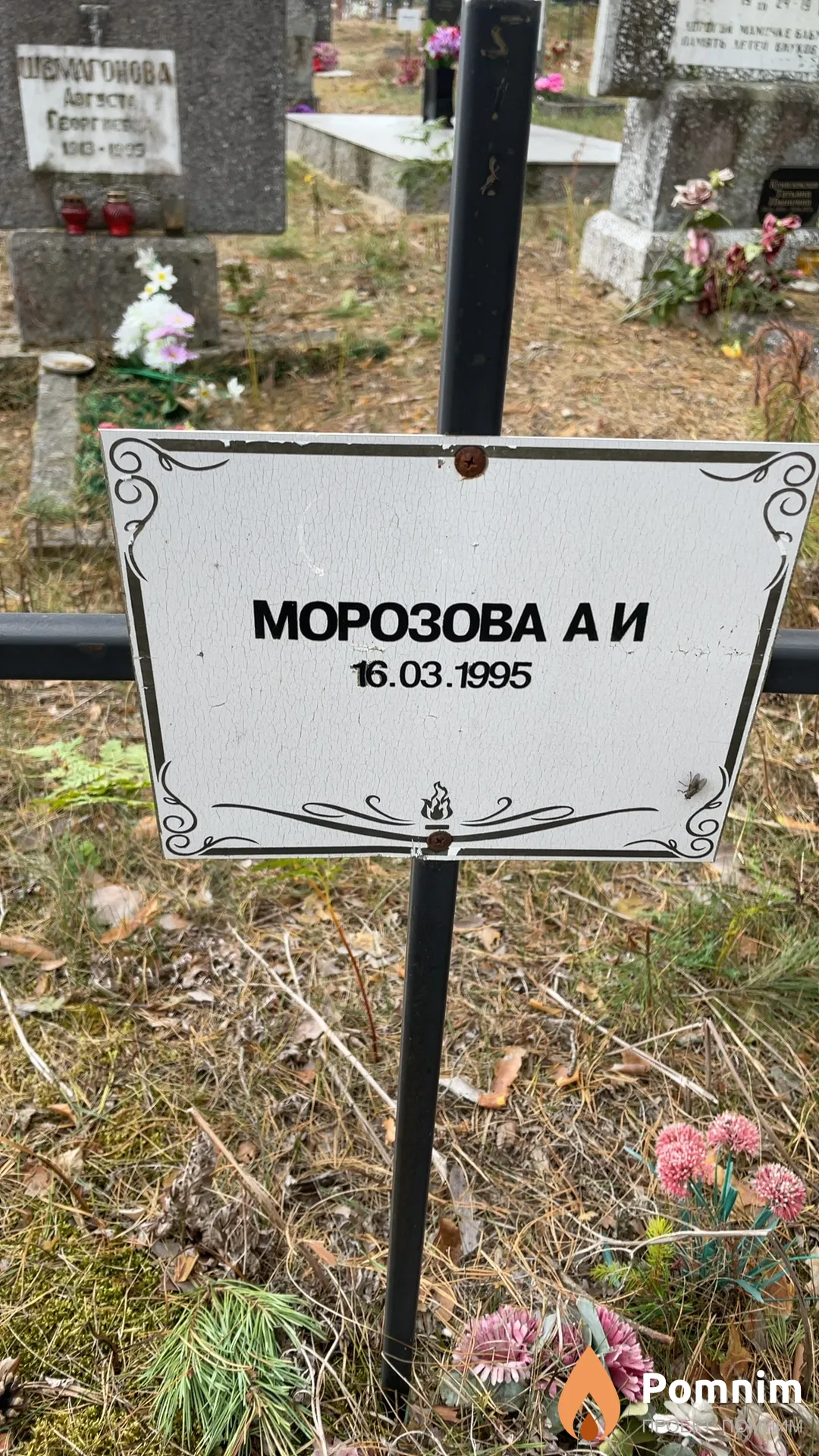 Морозова А И