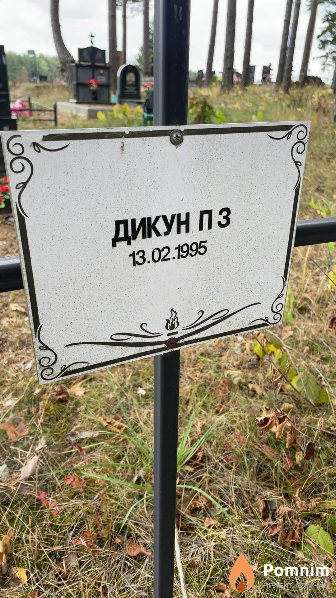 Дикун П З