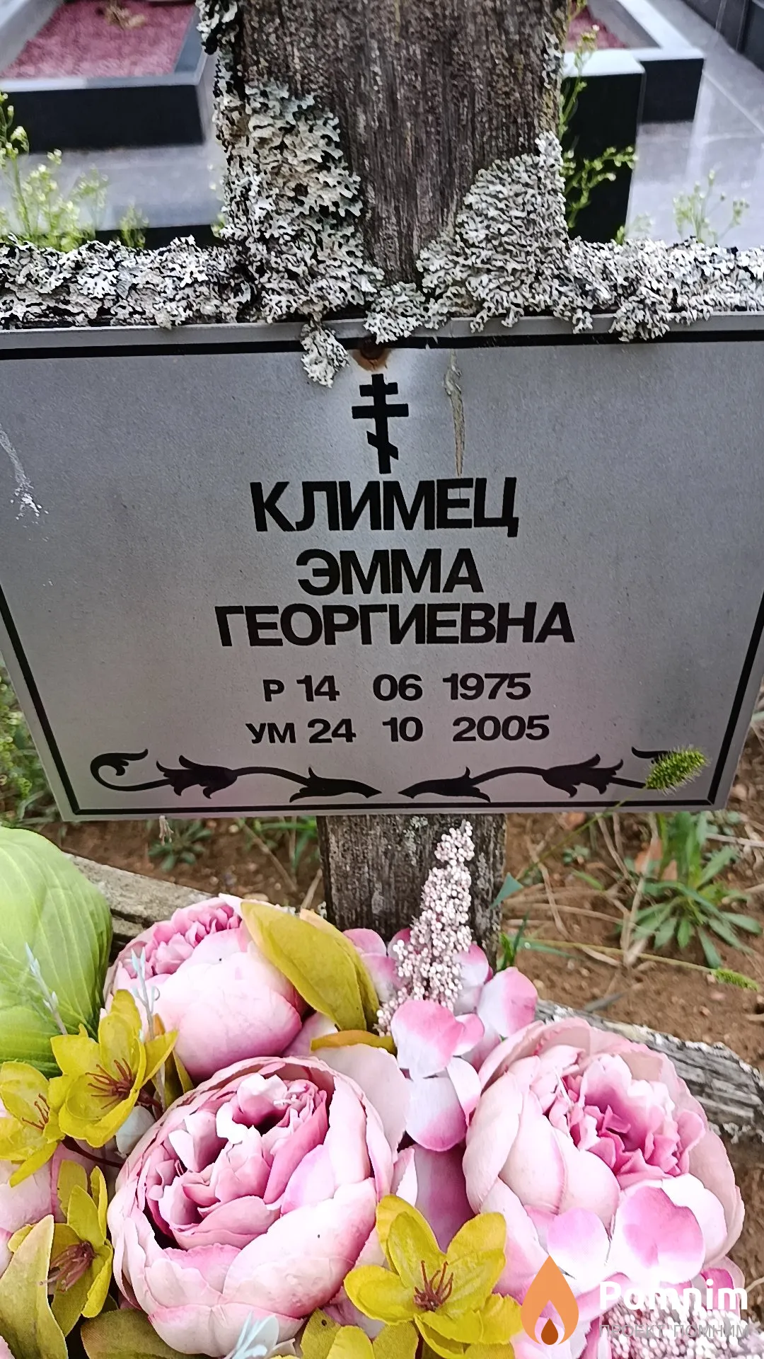 Климец Эмма Георгиевна
