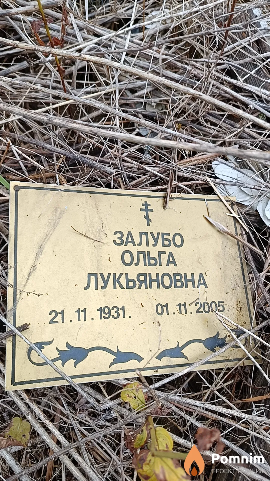 Залубо Ольга Лукьяновна