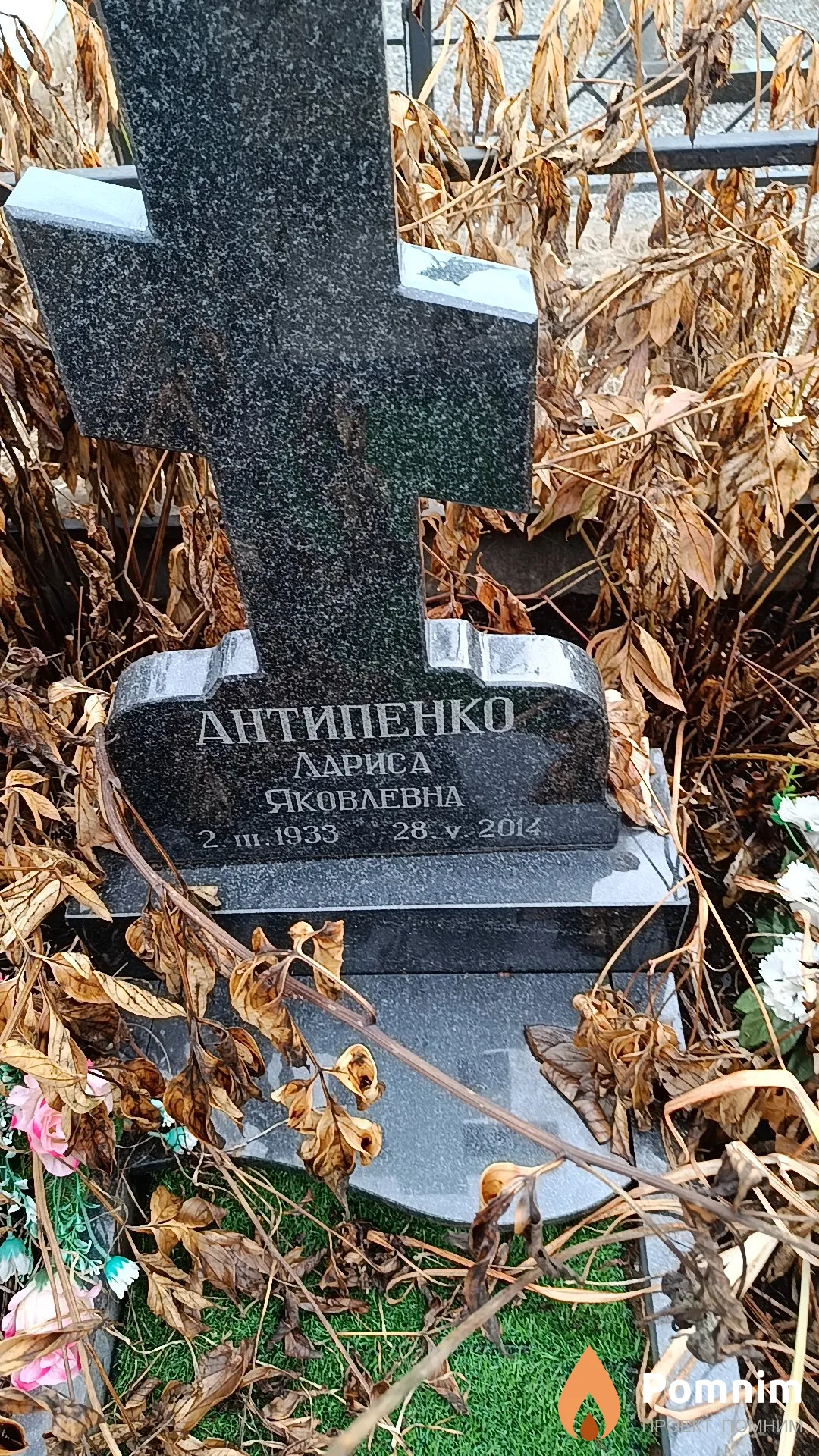 Антипенко Лариса Яковлевна