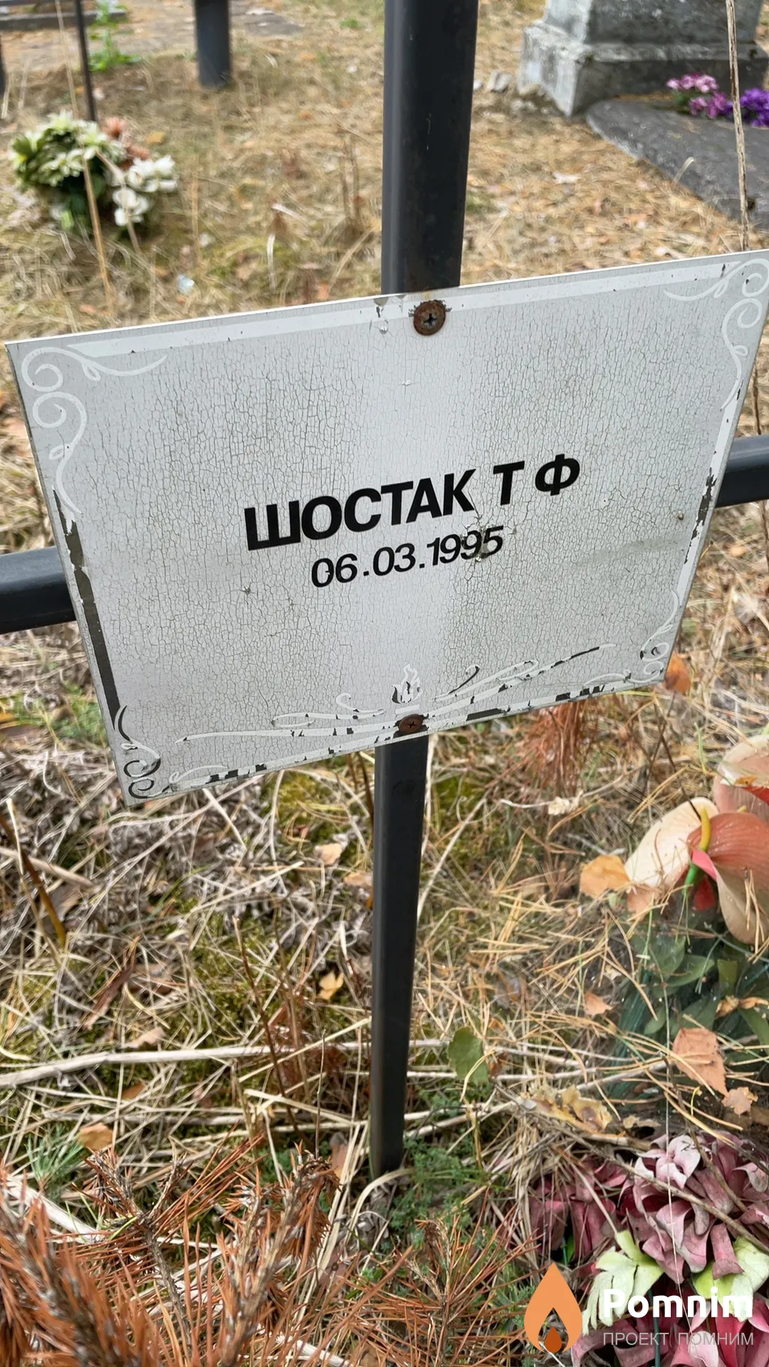 Шостак Т Ф