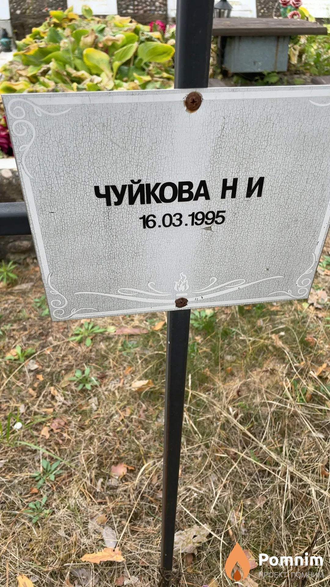 Чуйкова Н И