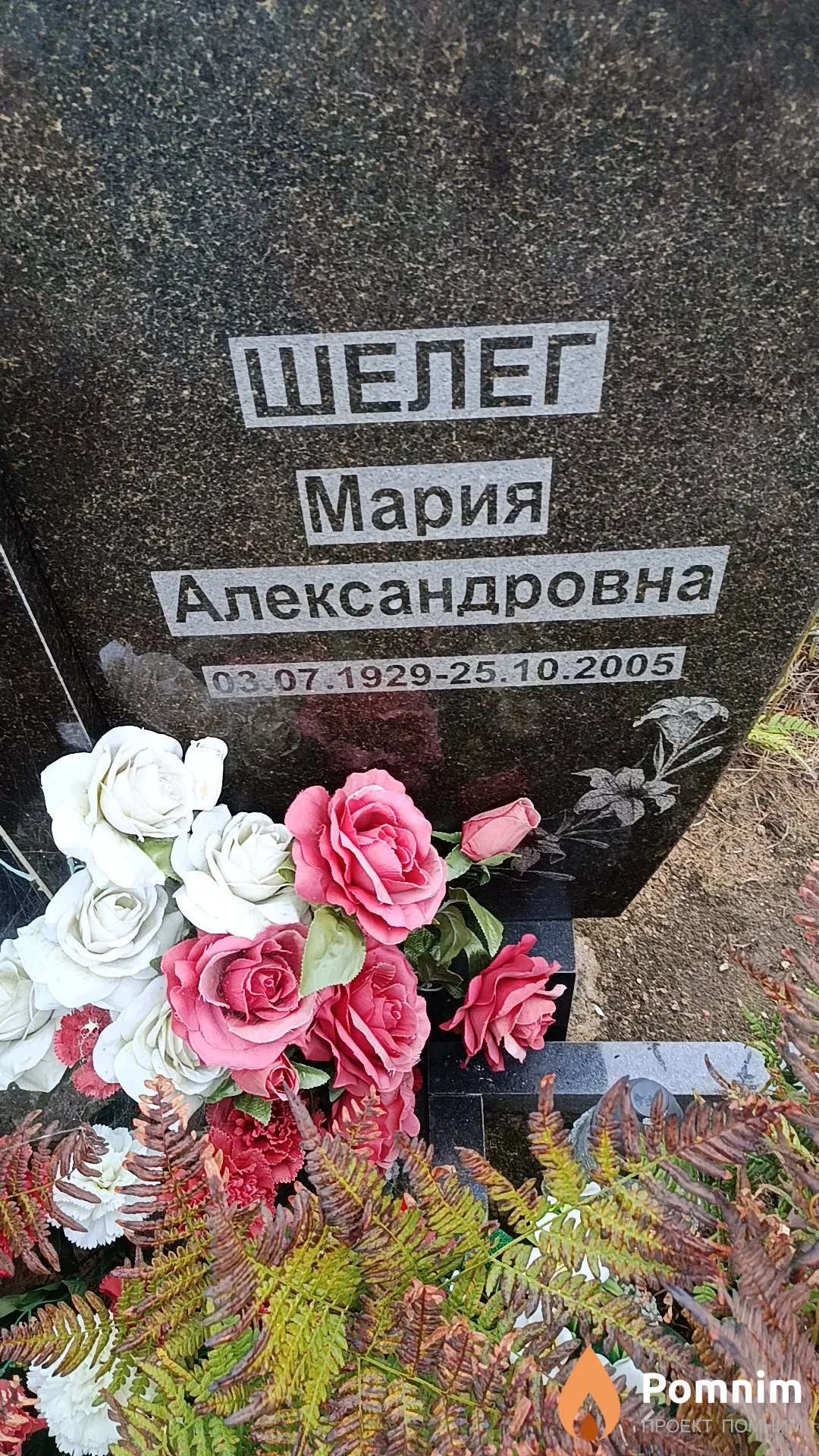 Шелег Мария Александровна