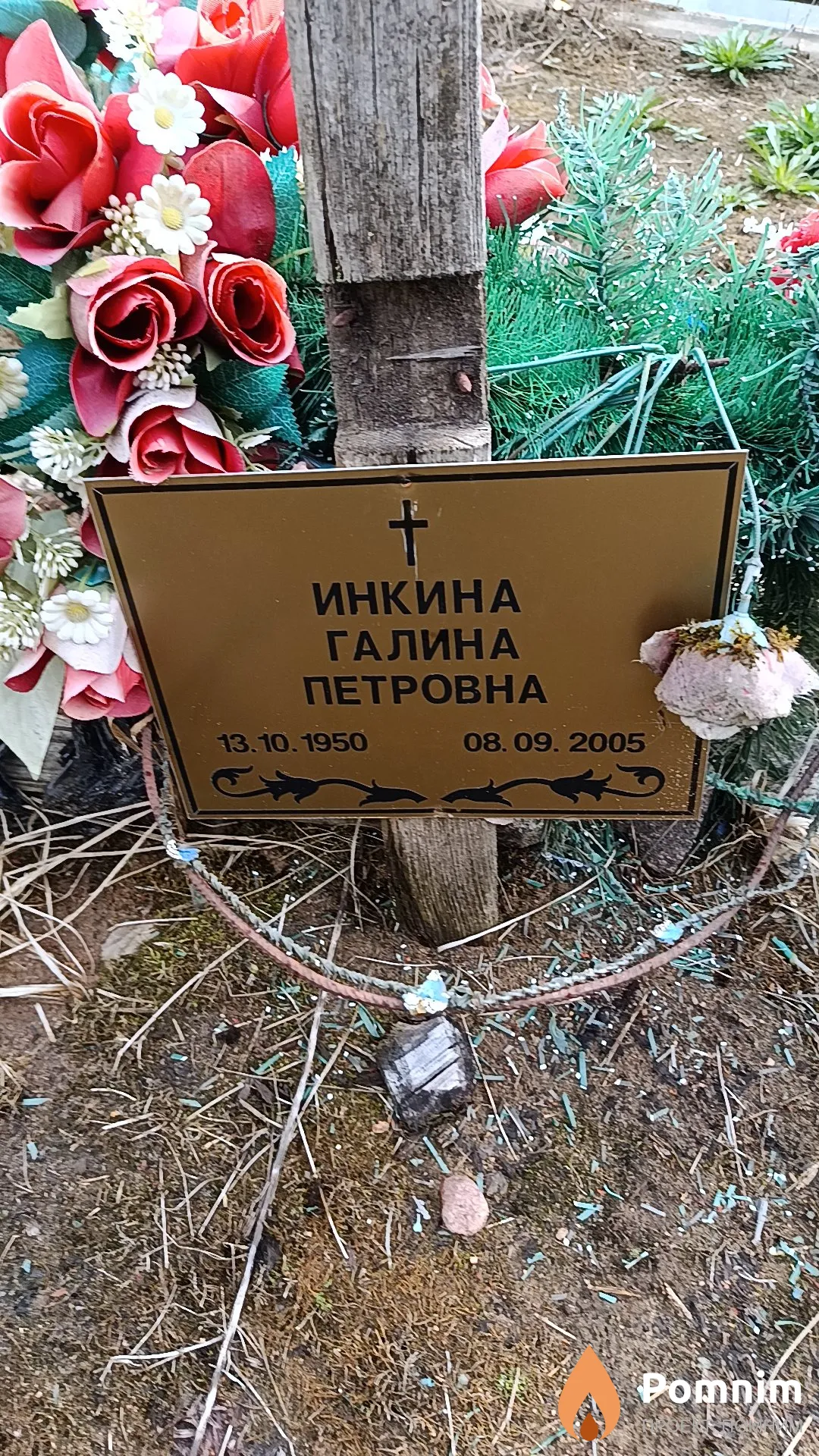 Инкина Галина Петровна
