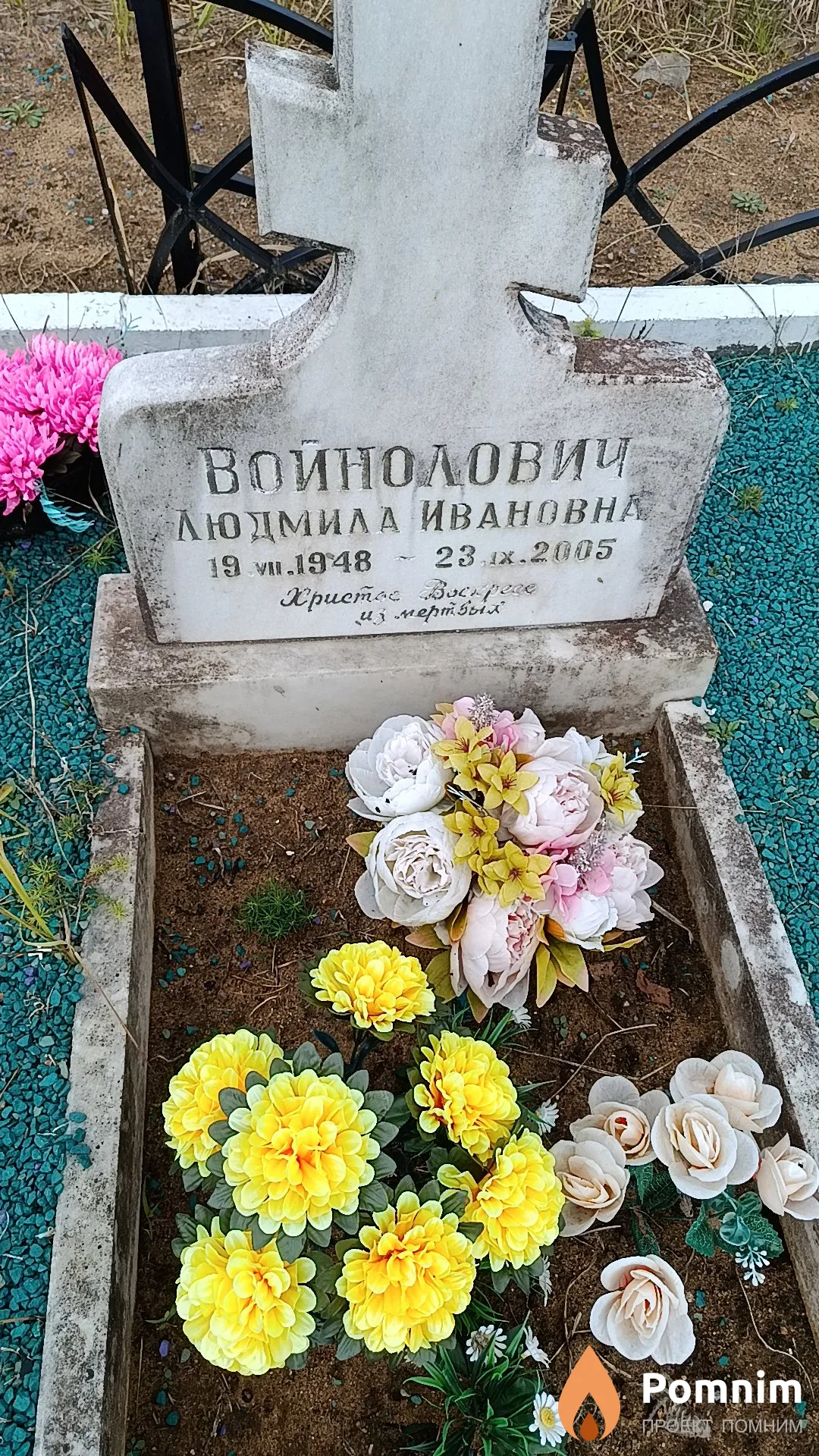 Войнолович Людмила Ивановна