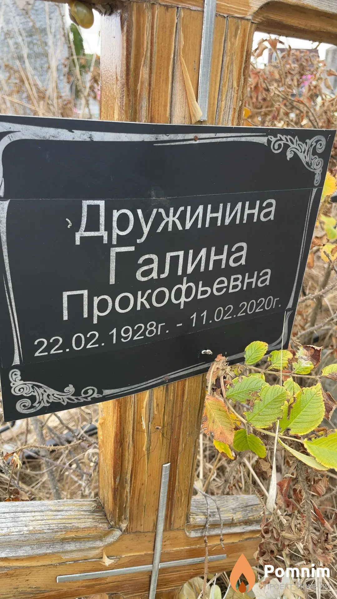 Дружинина Галина Прокофьевна