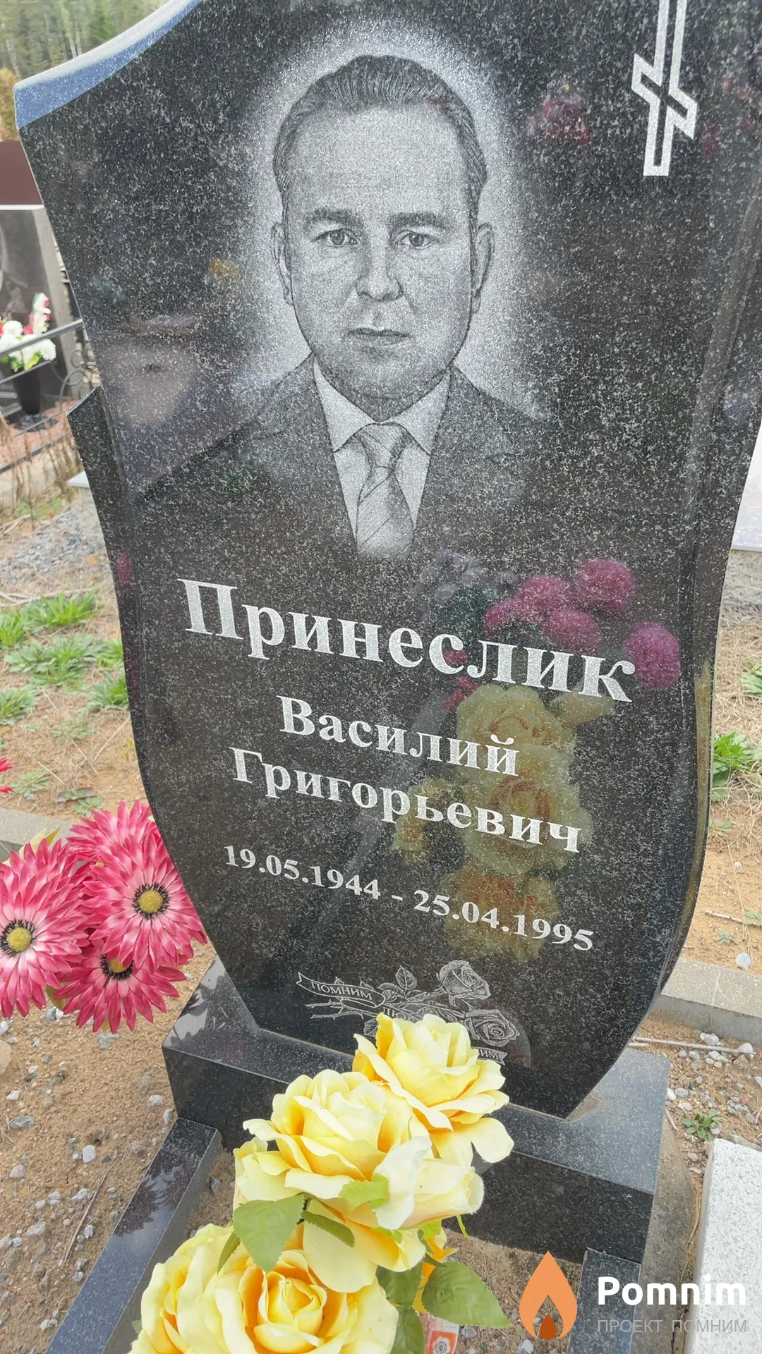 Принеслик Василий Григорьевич