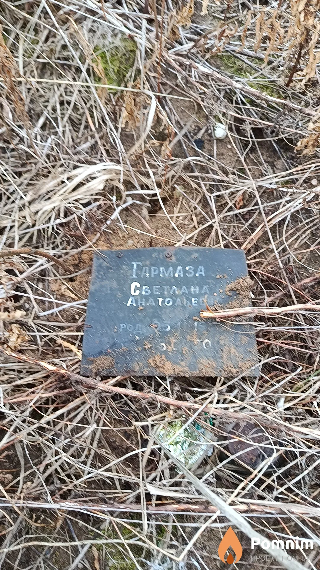 Гармаза Светлана Анатольевна