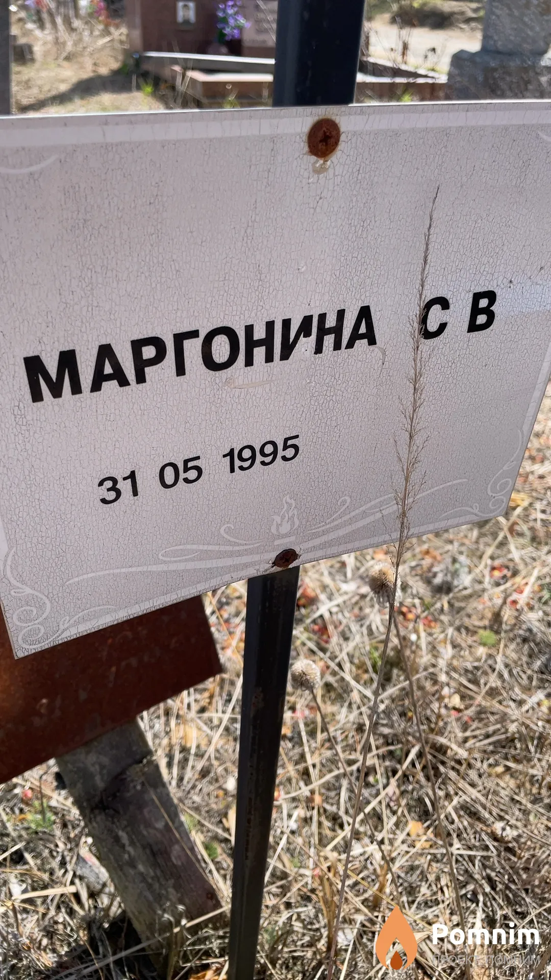 Маргонина С В