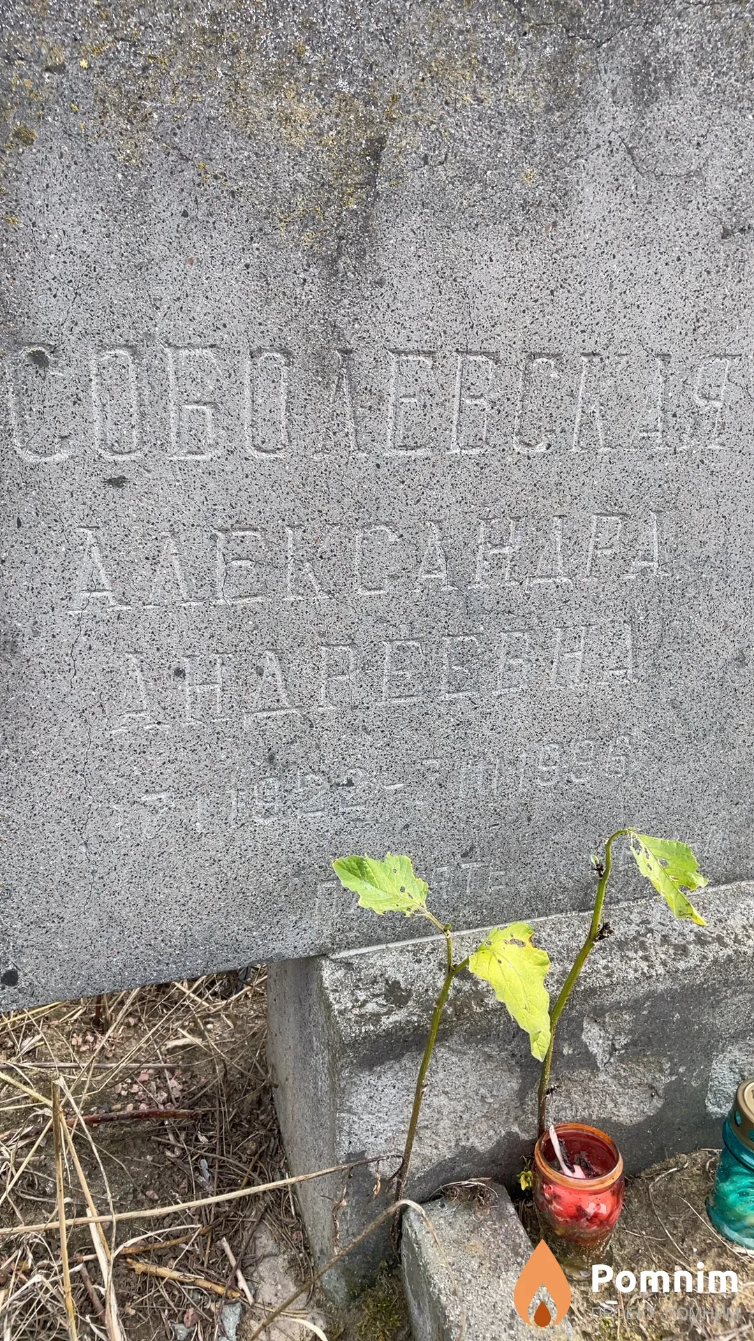 Соболевская Александра Андреевна