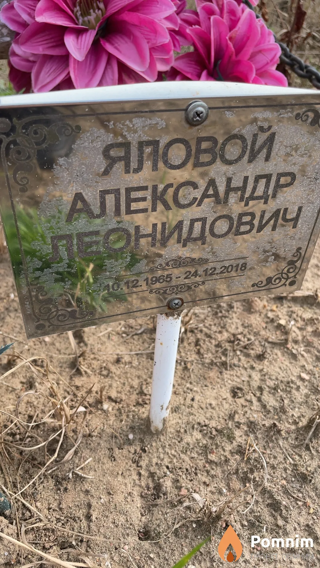 Яловой Александр Леонидович