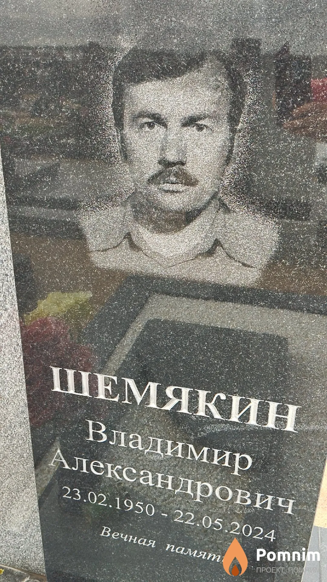 Шемякин Владимир Александрович