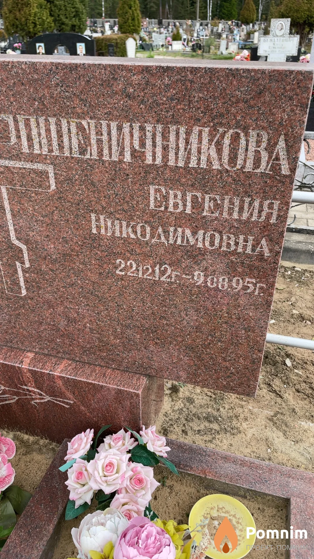 Пшеничникова Евгения Никодимовна