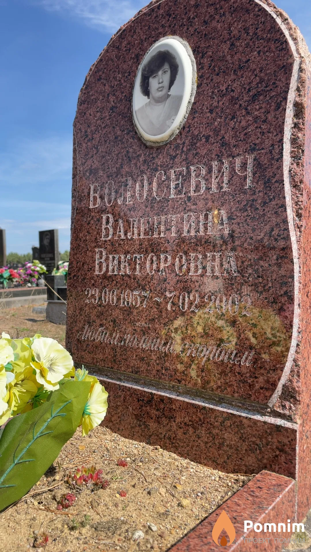Волосевич Валентина Викторовна