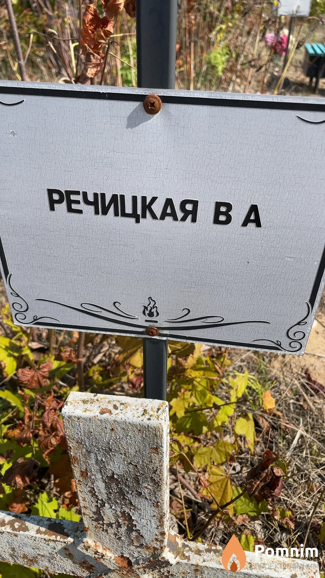 Речицкая В А