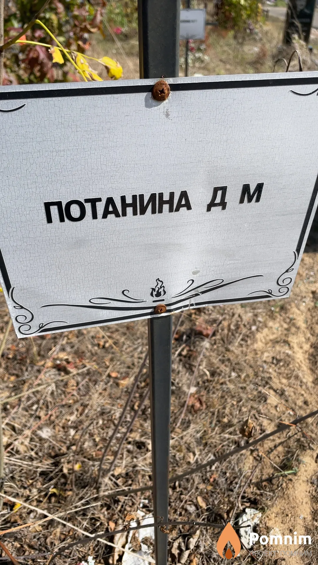 Потанина Д М