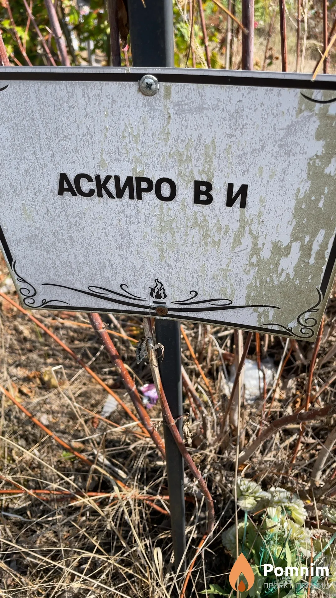 Аскиро В И