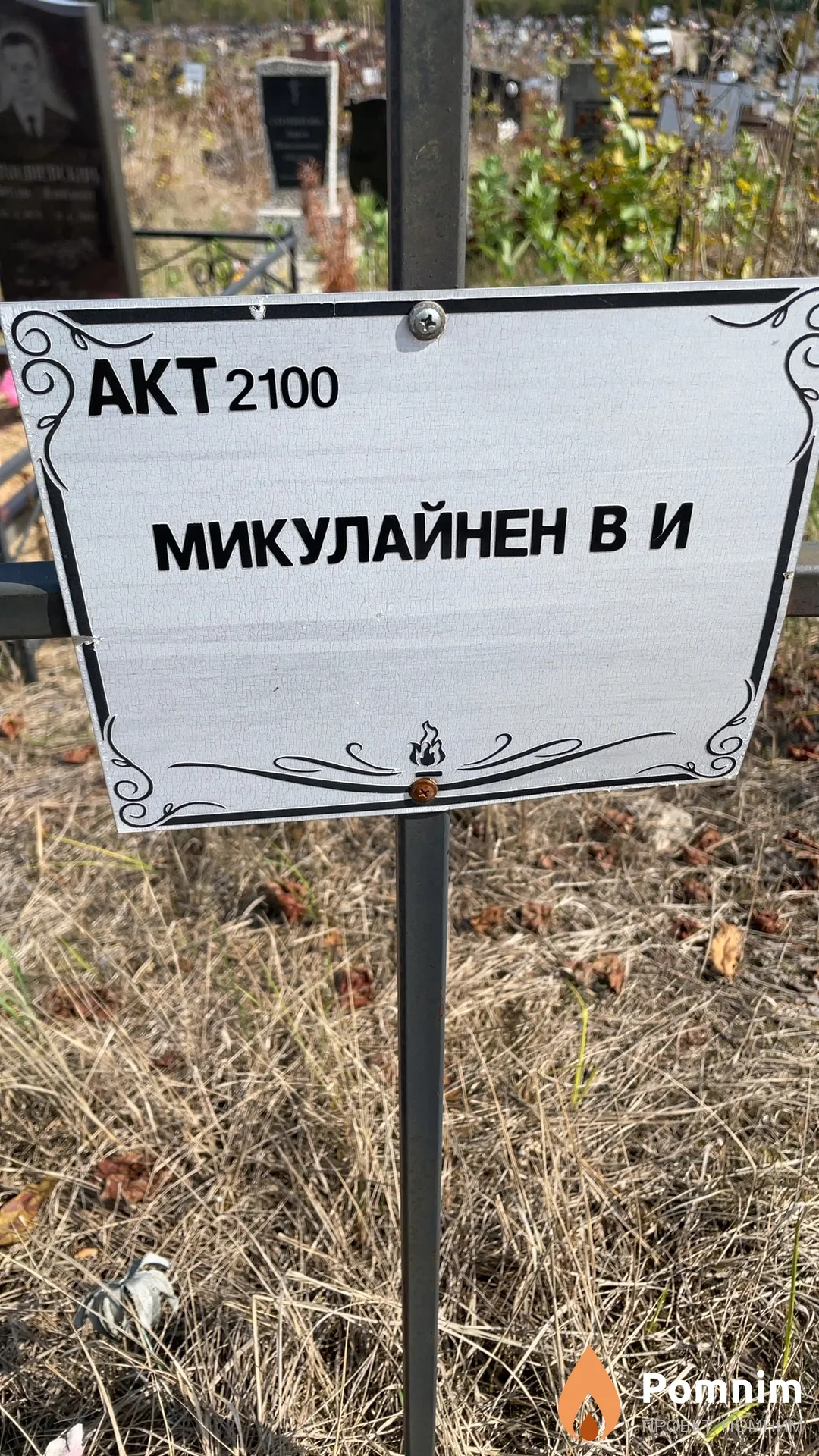 Микулайнен В И