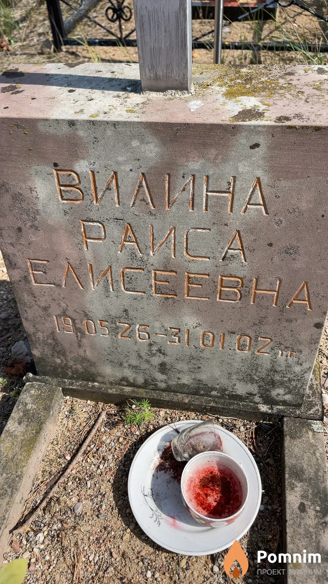 Вилина Раиса Елисеевна