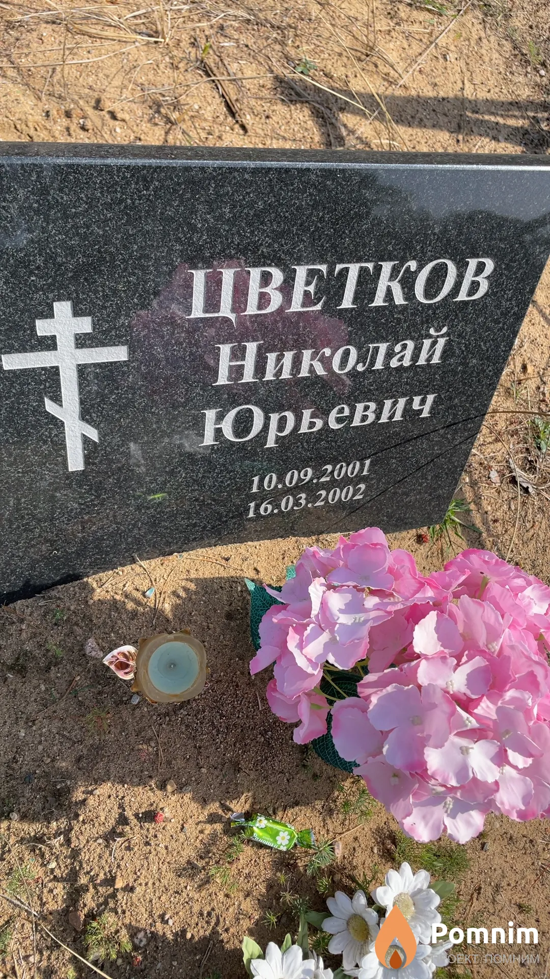 Цветков Николай Юрьевич