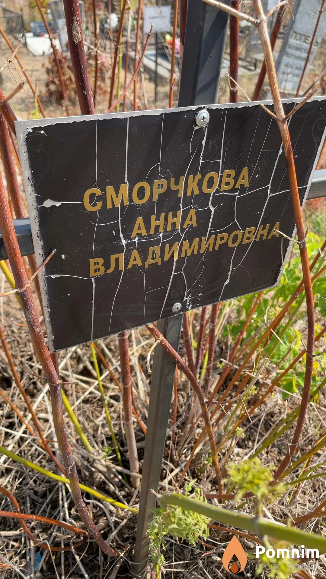 Сморчкова Анна Владимировна