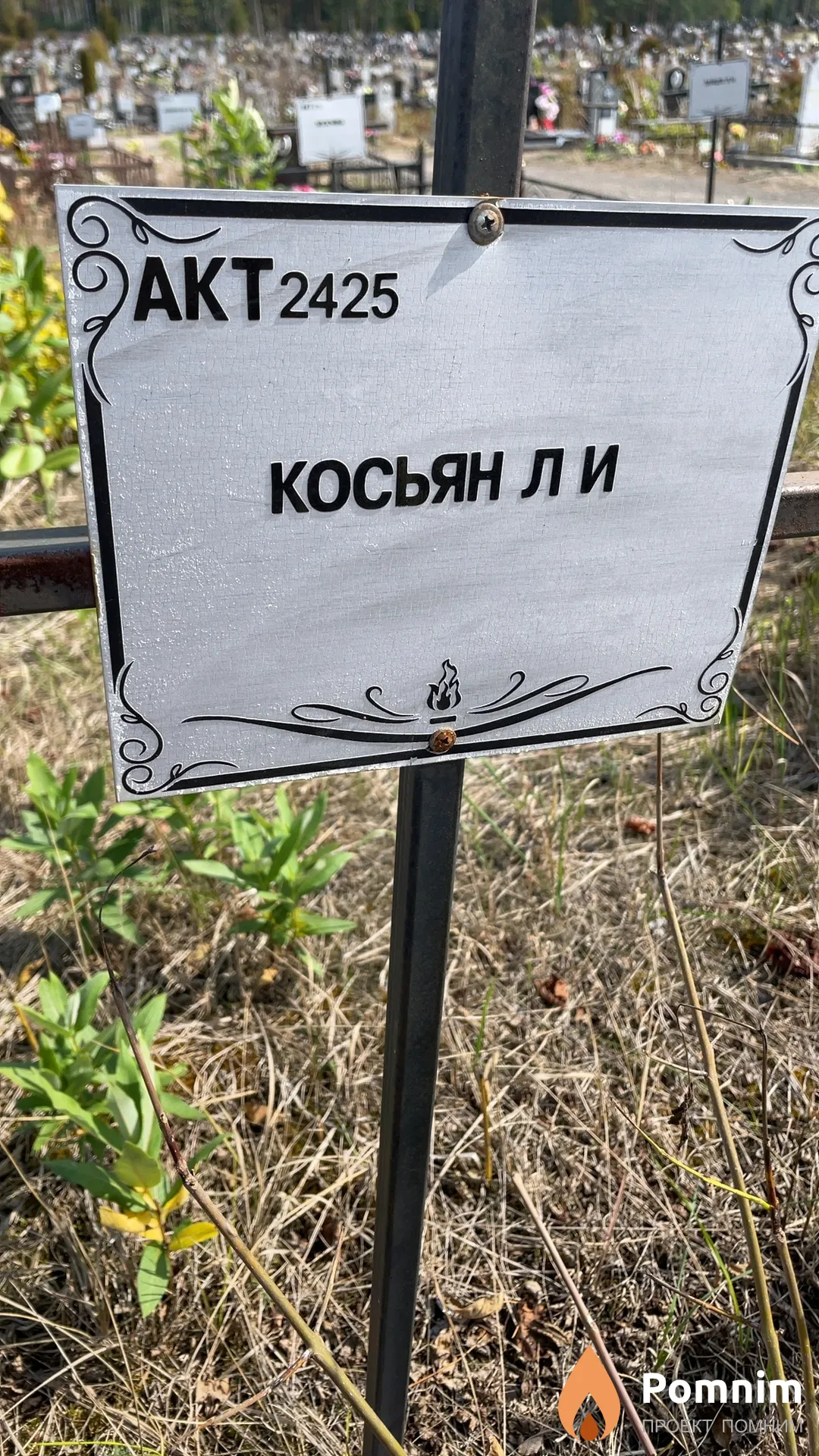Косьян Л И