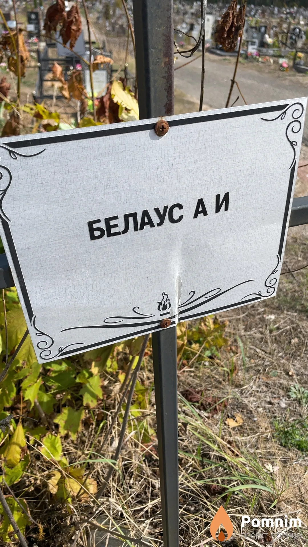 Белаус А И