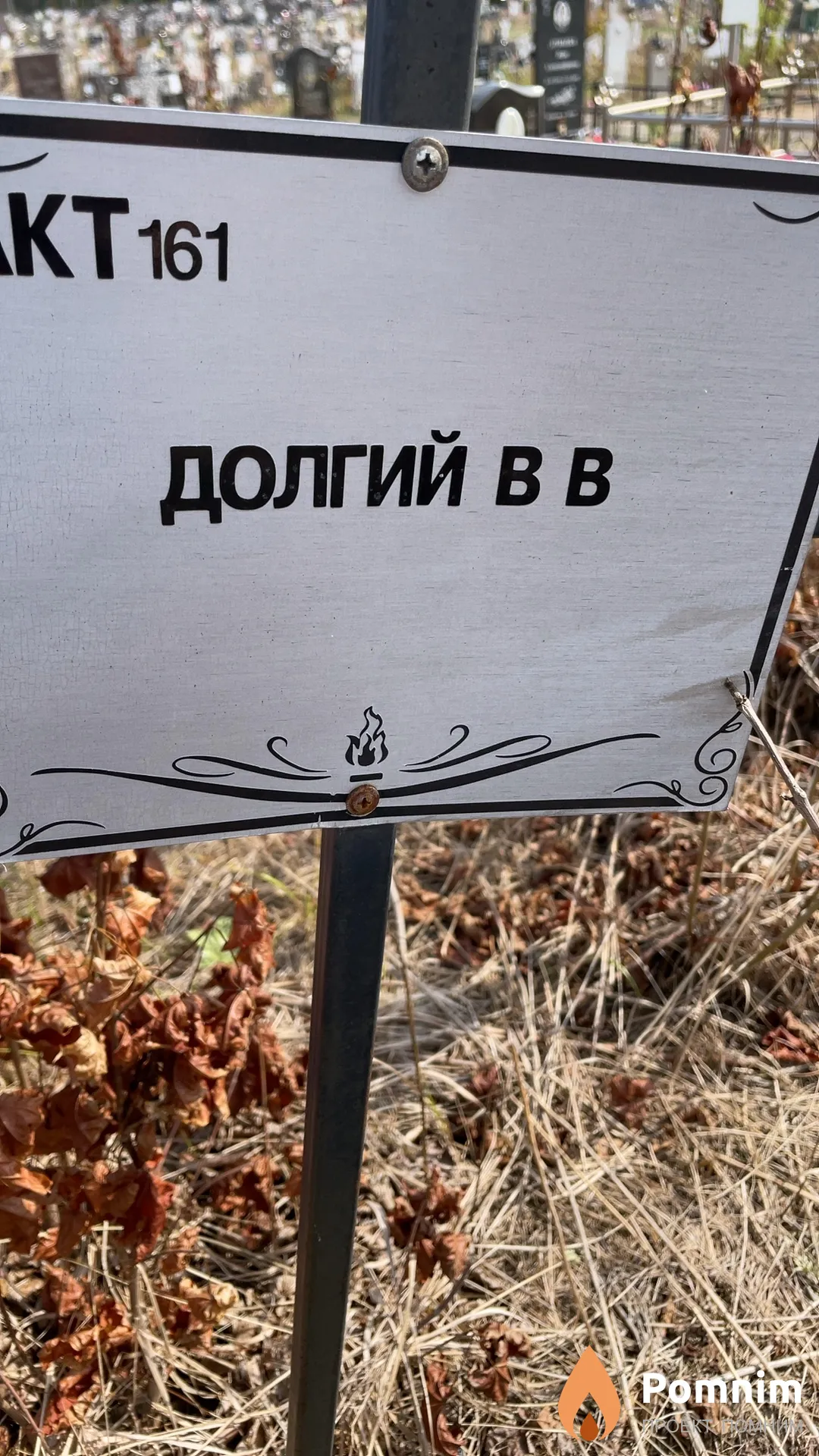 Долгий В В