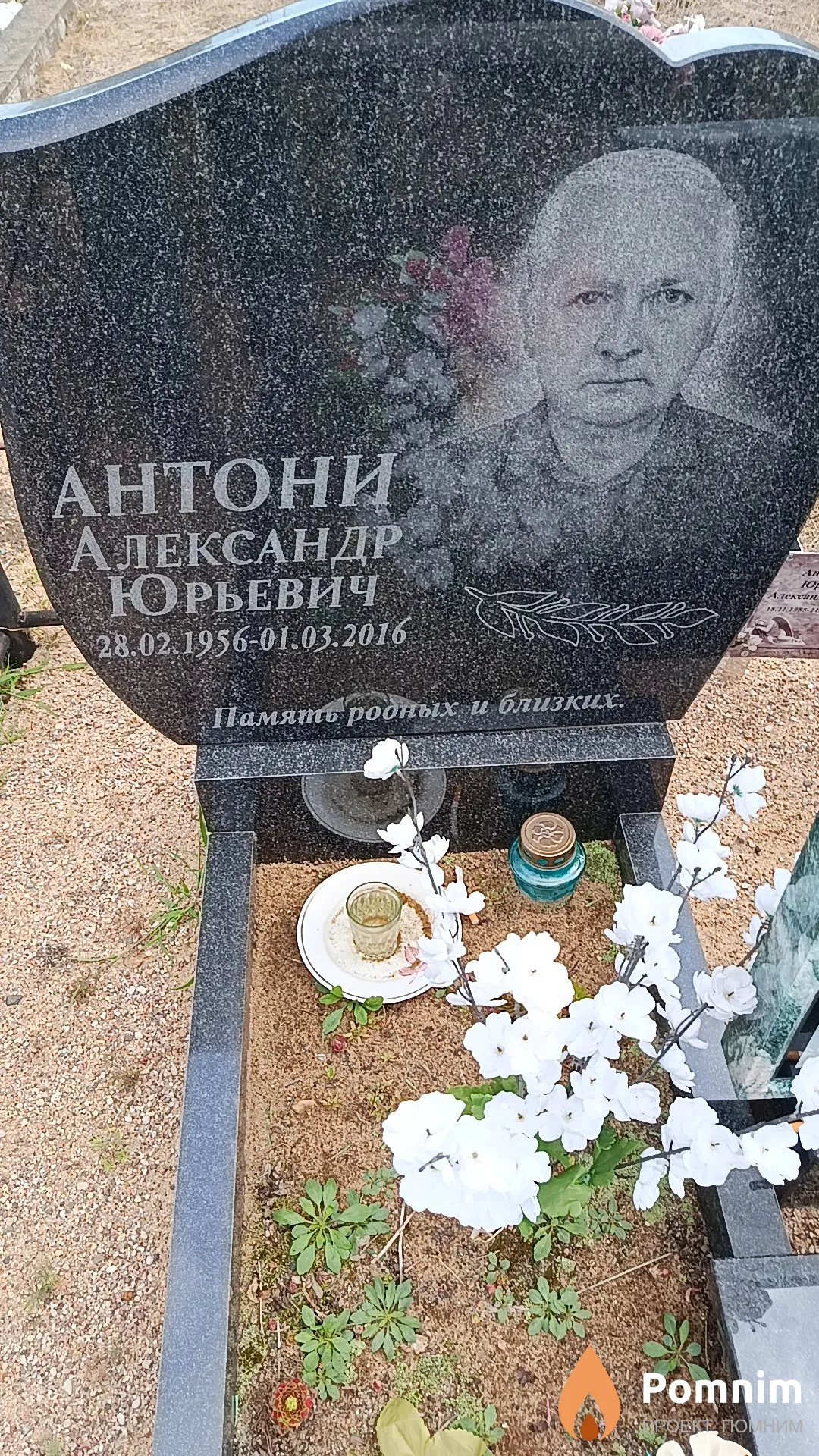Антони Александр Юрьевич