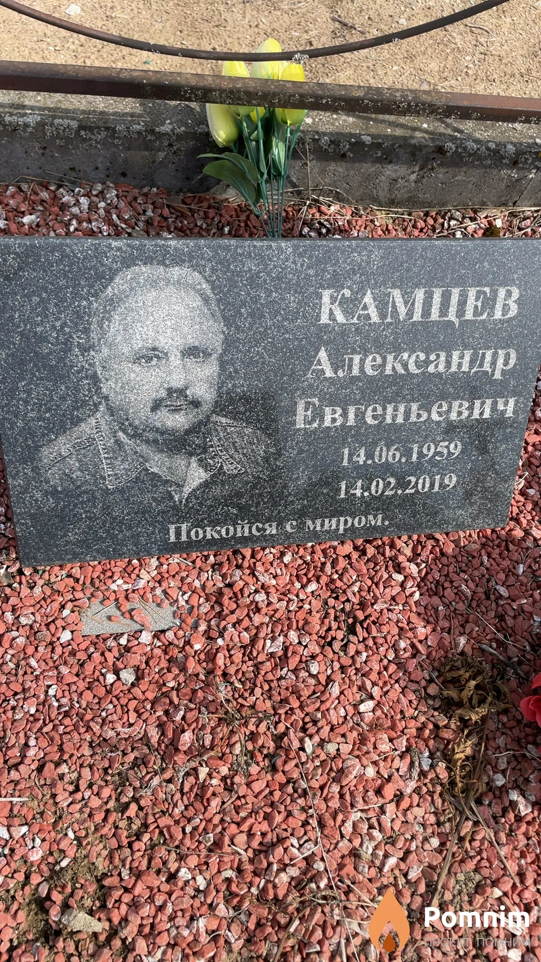 Камцев Александр Евгеньевич