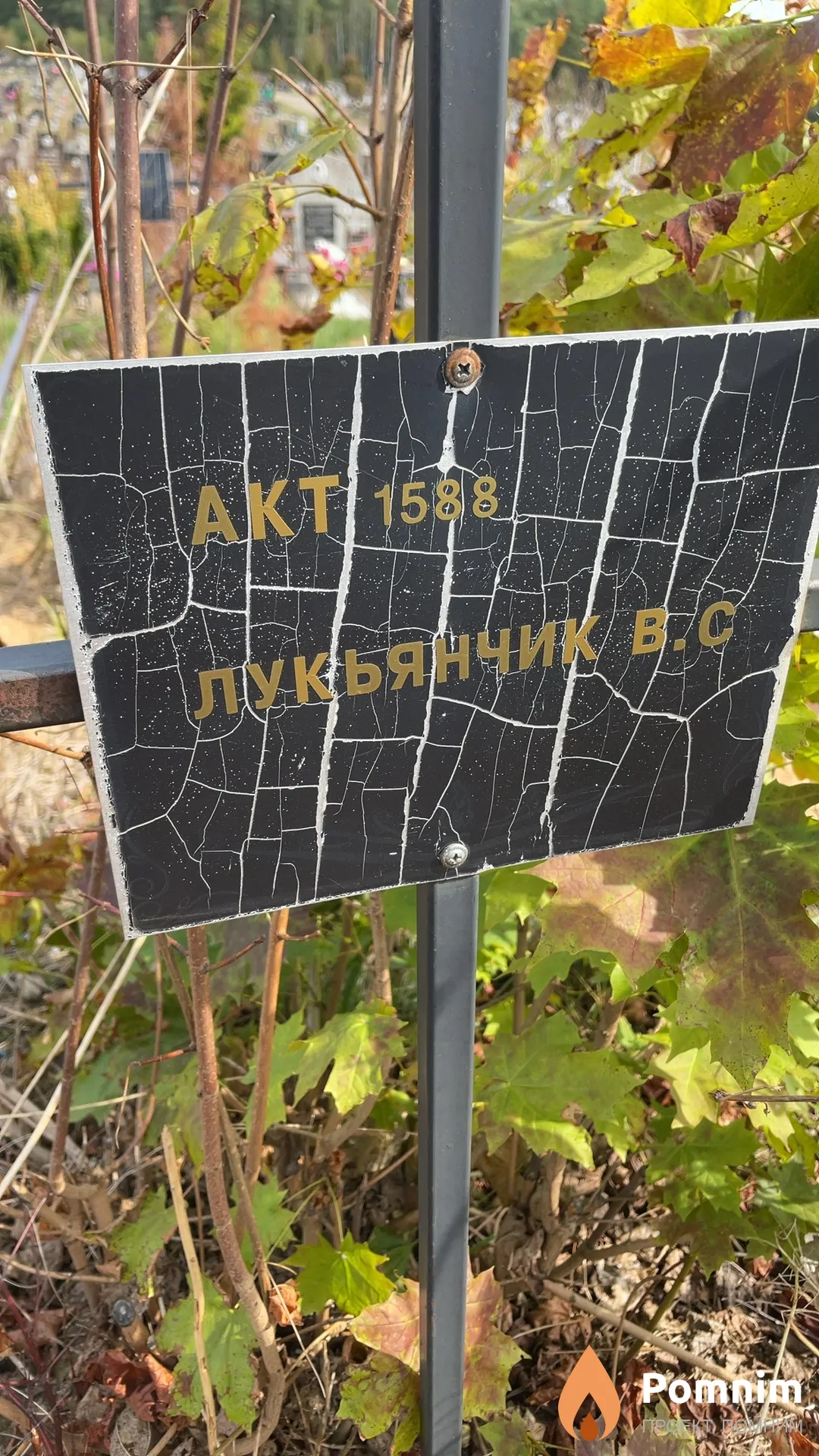 Лукьянчик В. С.