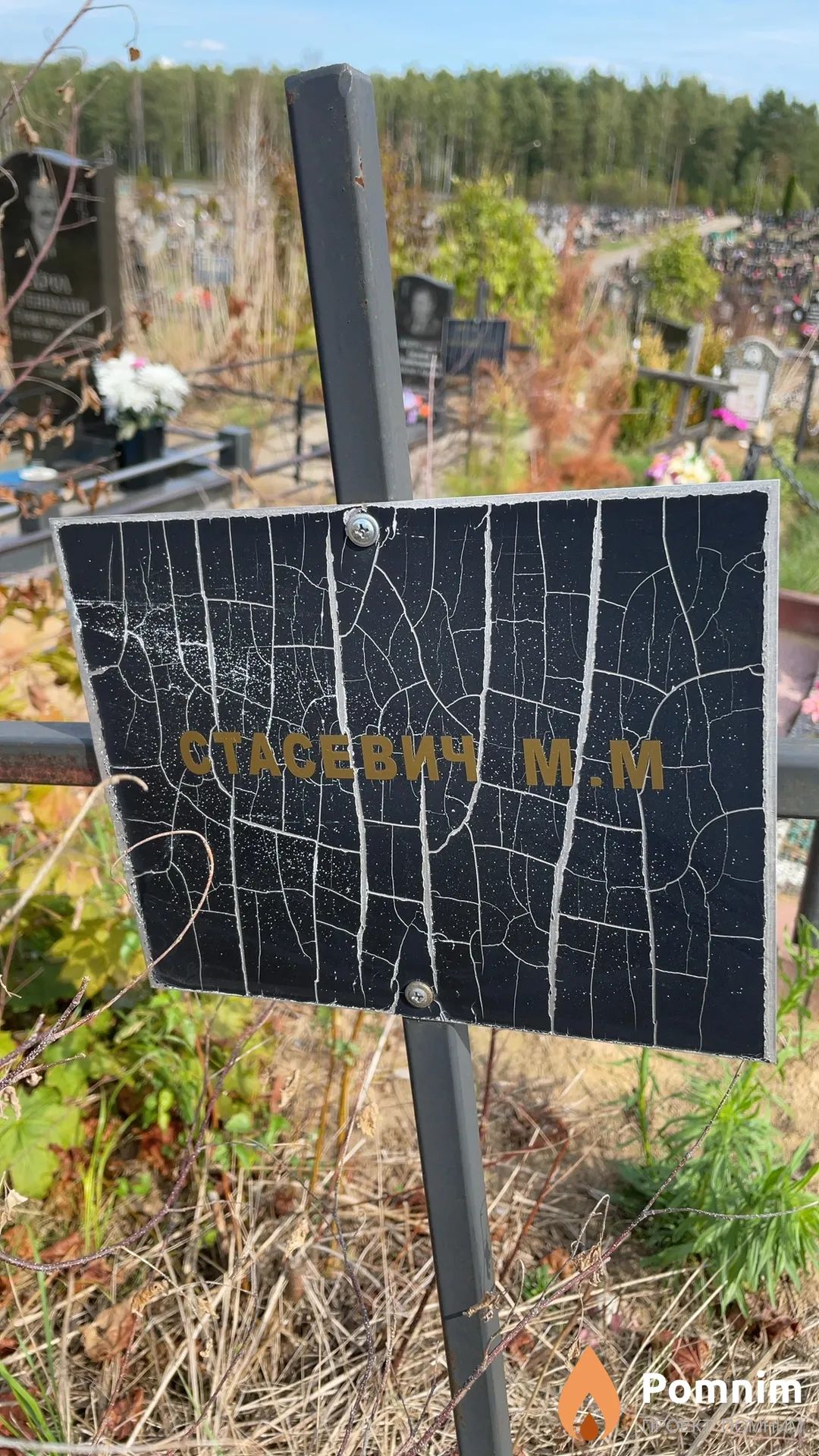 Стасевич М. М.
