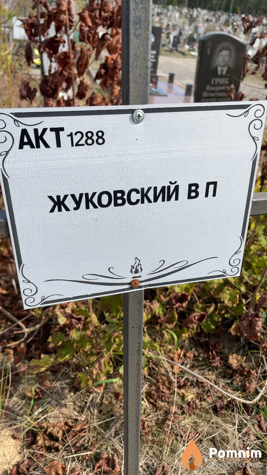 Жуковский В П