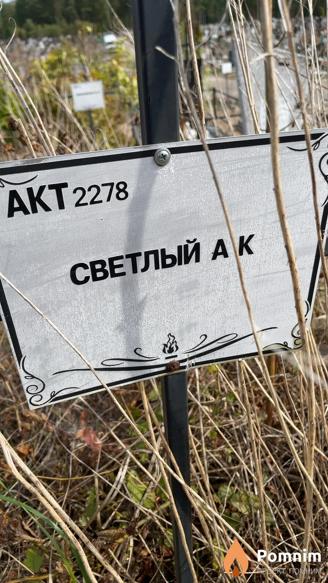 Светлый А К