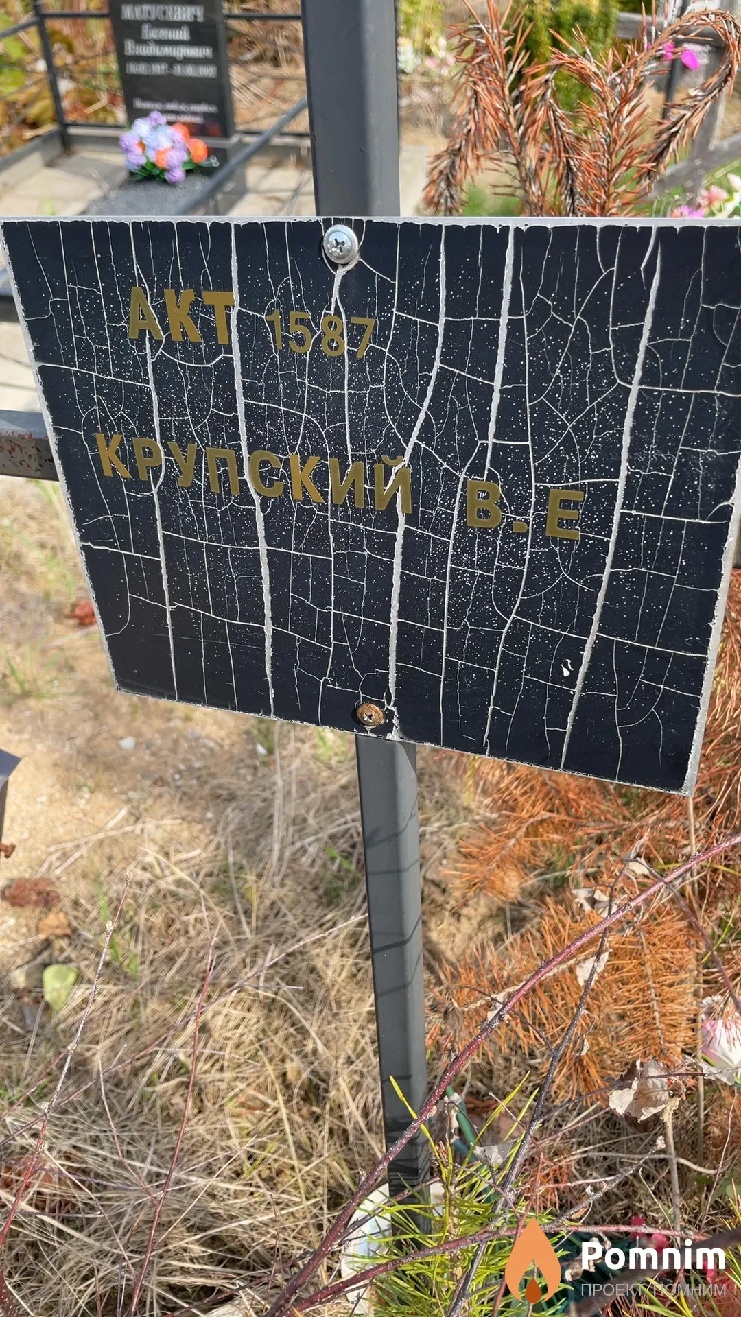 Крупский В Е