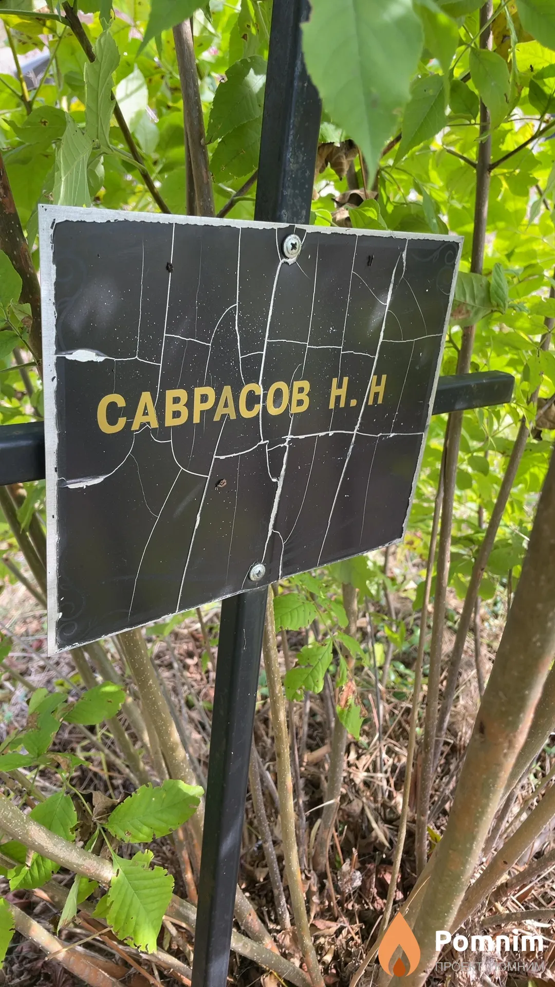 Саврасов Н. Н.