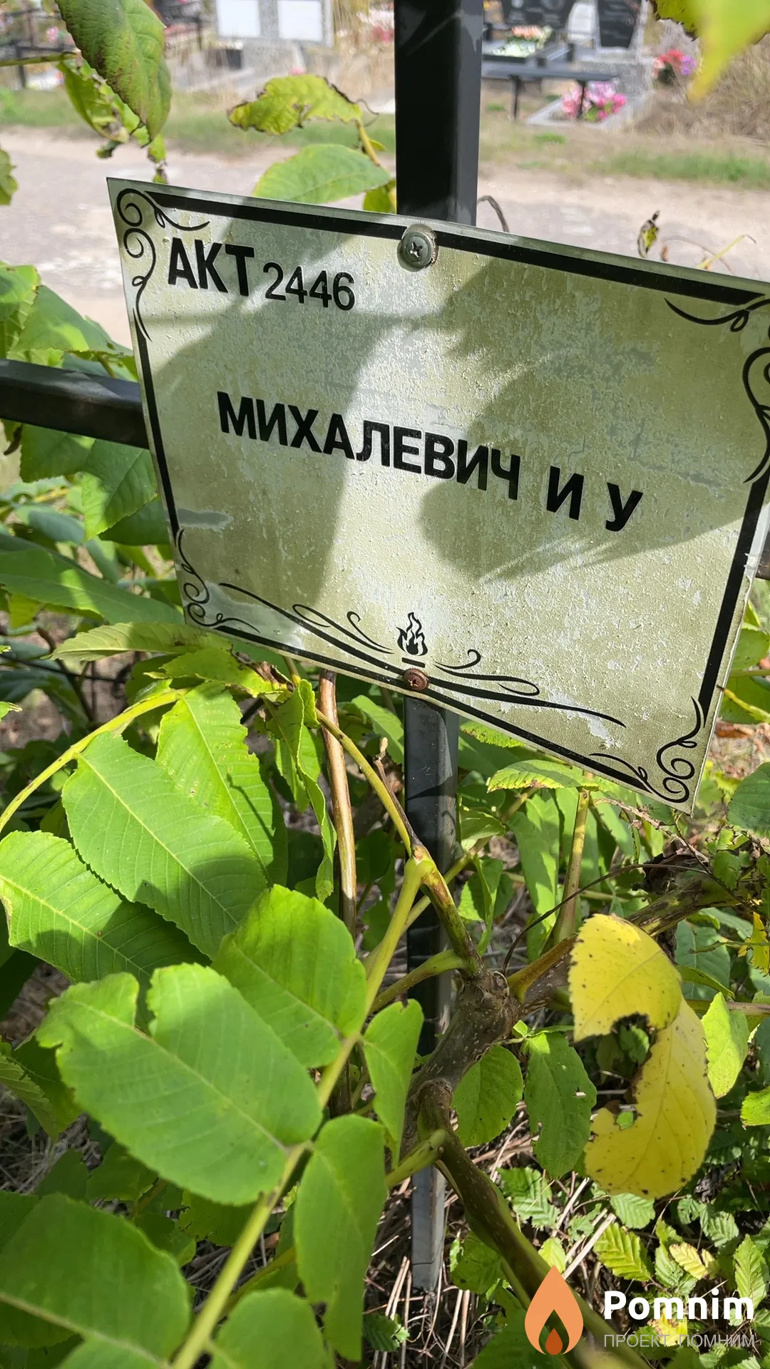 Михалевич И У