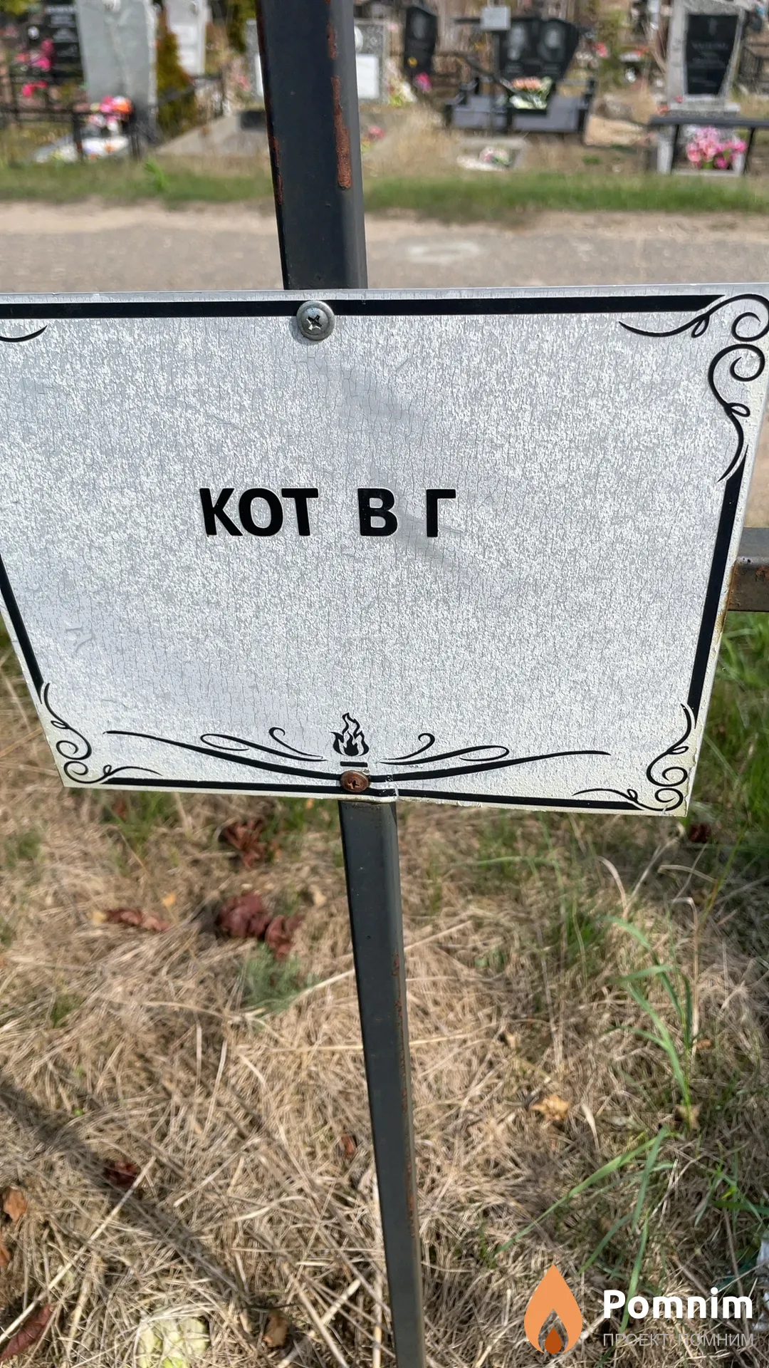 Кот В Г