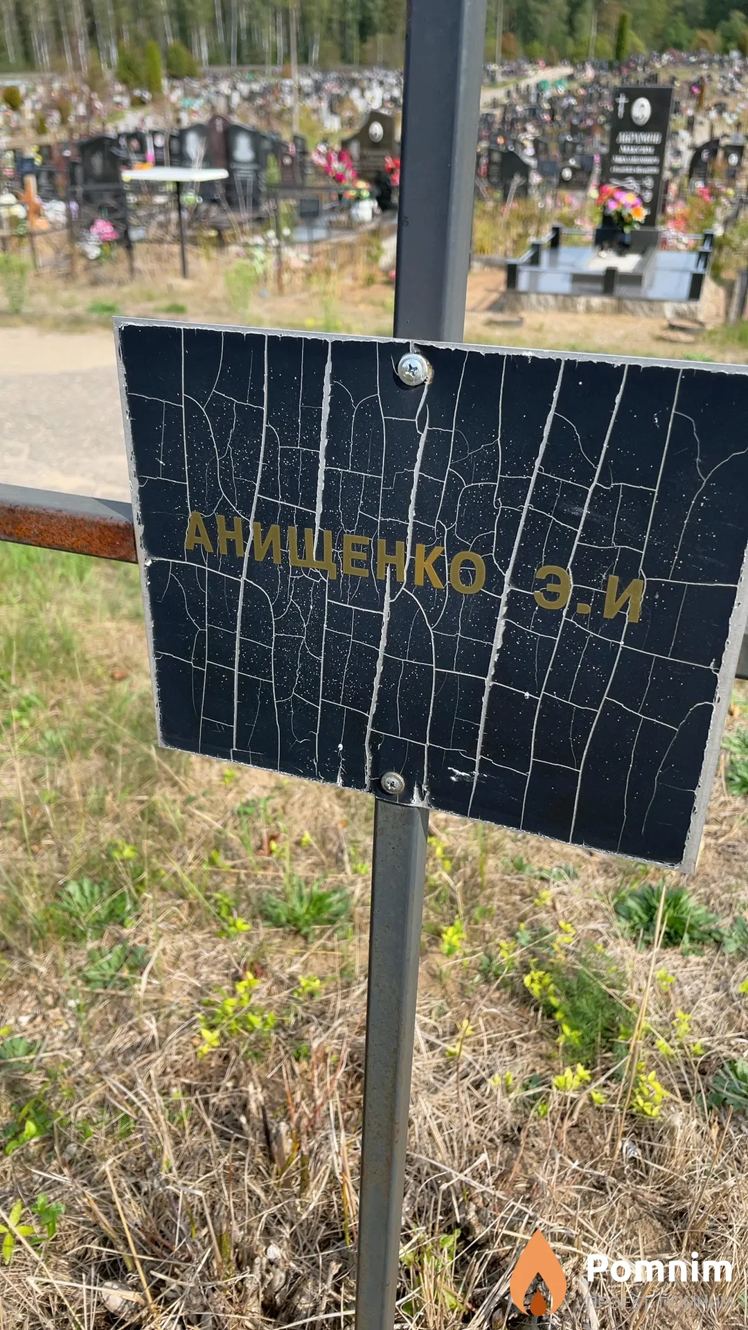 Анищенко Э. И.