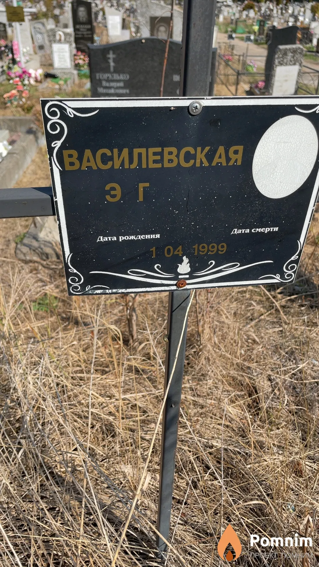 Василевская Э Г
