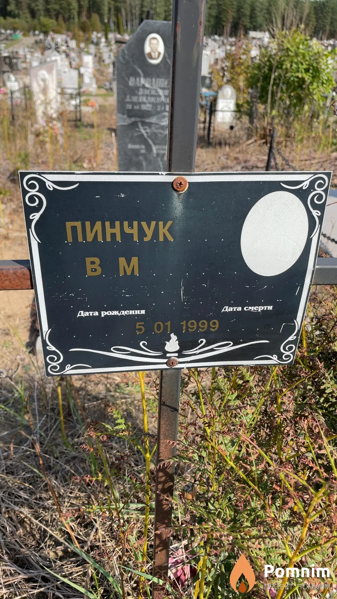 Пинчук В М
